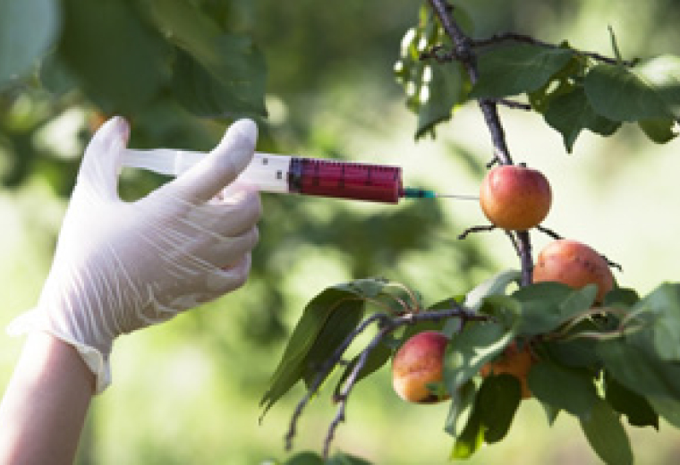 The Value of Food Defence  summary image